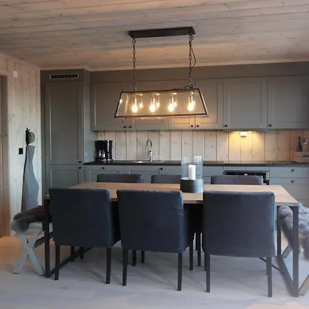 Chalet Hoyfjellsenter Trysil